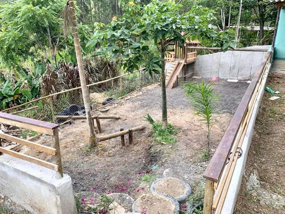 Chacara Recanto Dos Passaros Bairro das Rosas エクステリア 写真